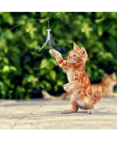MWOOT 6pcs Cat Feather Toys with Bells Feather Toys Spinning Attachment for Indoor Cats and Kitten Catcher Replacement Feather Refills with Bells Feather Cat Toys for Playing Catcher and Exercising - Buy Online on GoSupps.com