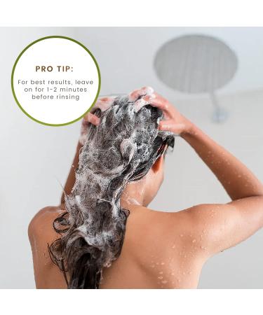 Organic Tea Tree Vegan Hair Conditioner | Natural Herbal Scent | Paraben, Silicone, and Sulfate Free | 8.8 fl oz - Unisex Hair Care Product - Buy Online on GoSupps.com