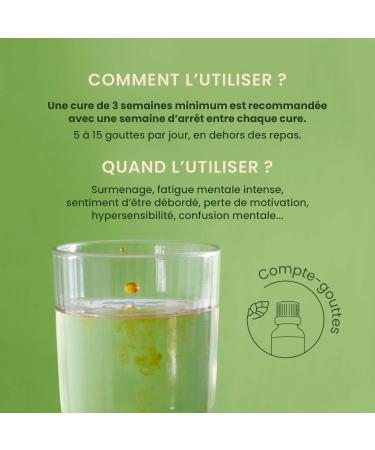 Herbalgemm EnerGem Mental Overload Organic - Overwork and Mental Resistance - Food Supplement Gemmotherapy Concentrated - 30 - Buy Online on GoSupps.com