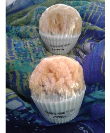 Goat's Milk Lavender Cupcake Soap with Natural Sea Sponge - Mini Size - Buy Online on GoSupps.com