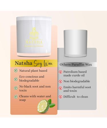Luxury Scented Soy Candles | Eco-Friendly Aromatherapy & Relaxation | Handcrafted Fragrance Candles for Meditation - Buy Online on GoSupps.com