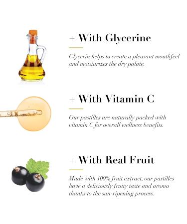 Dr. Doolittle's Sugar Free Soft Fruit Pastilles for Voice and Throat Blackcurrant Flavor 2.12 Ounce Tin Approximately 25 Count Package 2 Pack - Buy Online on GoSupps.com