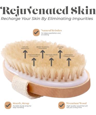 Dry Skin Body Brush - Natural Bristle for Exfoliation, Cellulite Treatment and Improved Skin Health - Stimulates Blood Circulation and Lymphatic Functions - Buy Online on GoSupps.com