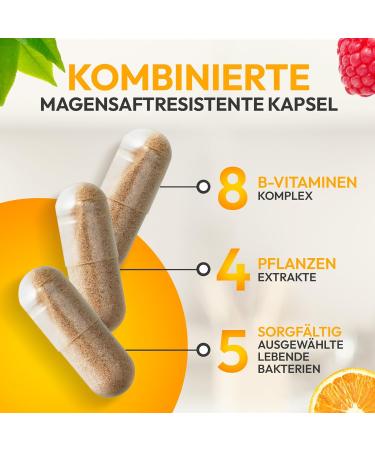 Celltria Premium FB-Complex | All-in-One Formula with Garcinia Cambogia Bitter Orange & Raspberry | 120 Capsules for Enhanced Training Support - Buy Online on GoSupps.com