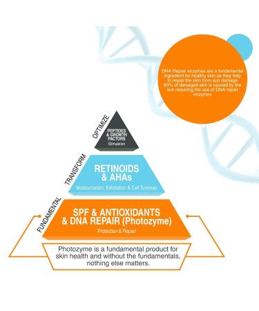 Photozyme DNA Repair Enzymes GFS Plus Facial Night Serum | 0.5% Retinol Anti-Aging Skincare | Dark Spot Corrector for Fine Lines & Acne Scars | Non-Irritating Beauty Treatment - Buy Online on GoSupps.com