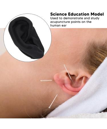 Soft Silicone Human Ear Model for Acupuncture Practice & Earring Display - Buy Online on GoSupps.com