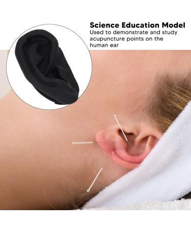 Silicone Human Ear Model for Acupuncture Practice & Earring Display - Buy Online on GoSupps.com