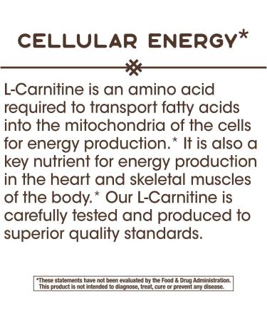 Nature's Way L-Carnitine 500mg 60 VCaps - Premium Quality, 60 Count - Buy Online on GoSupps.com