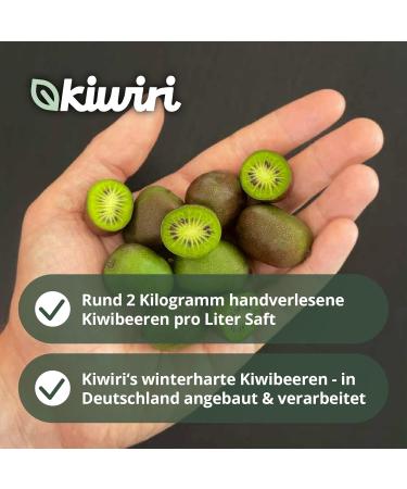 KIWIRI Kiwiri 's Jus de kiwiberry direct | 100% fruit content | German kiwi/minikiwis fruit juice (12 x 0.2 l) - Buy Online on GoSupps.com