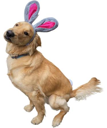 Midlee Easter Bunny Large Dog Headband and Tail - Gray & Pink Rabbit Ears - Buy Online on GoSupps.com