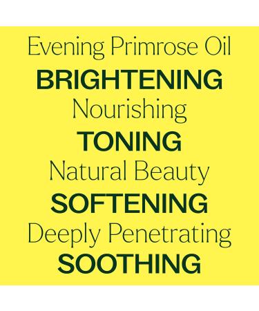 Plant Therapy Evening Primrose Carrier Oil 4 oz Base Oil for Aromatherapy Essential Oil or Massage use 4 Fl Oz (Pack of 1) - Buy Online on GoSupps.com