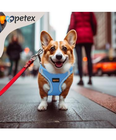 Petex Dog Harness for Small & Medium Dogs - TUV Tested Made in Europe Reflective & Breathable with Air Mesh - Stylish Blue XS for Puppies - Buy Online on GoSupps.com