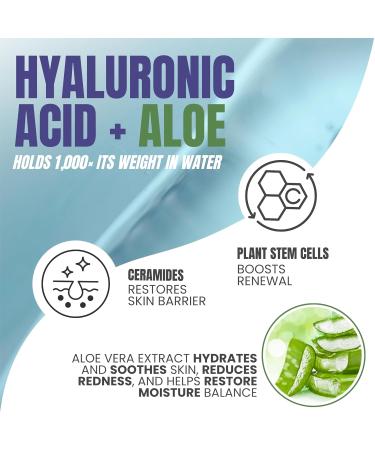 Alozera Hyaluronic Acid Body Lotion with Aloe & Stem Cells Daily Moisturizing Lotion for Dry Sensitive Skin Hydration Non-Greasy Lightweight Moisturizer Fragrance-Free 16.9 oz 2-Pack - Buy Online on GoSupps.com