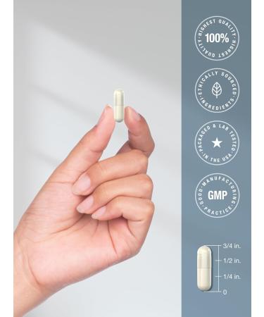 Horb ach Malic Acid Capsules | 1200mg | 250 Count | Non-GMO and Gluten Free Supplement - Buy Online on GoSupps.com