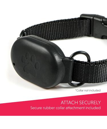 UBEE CAT GPS Tracker for cats Lightest UK tracker (23g) Unlimited Range Free & Shareable App UK Support - Buy Online on GoSupps.com