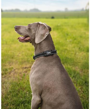 Buy Lonto XL Dog Collar - Durable Nylon Soft Padded 360 Reflective Click Closure Metal Ring - Black - Buy Online on GoSupps.com