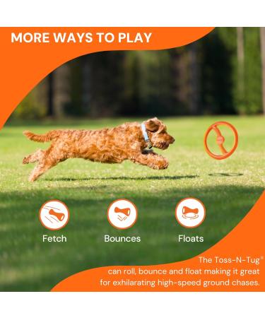 Bionic Toss-n-Tug Ring - Durable 22.7cm Dog Toy for Playful Pets | International Shipping Available - Buy Online on GoSupps.com