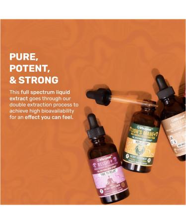 Life Cykel - Chaga Mushroom Extract with Kakadu Plum - Double Extracted Mushroom Tincture - Non-GMO Immune Support Supplement for Adults and Kids - 4 Fl Oz 4 Fl Oz (Pack of 1) - Buy Online on GoSupps.com