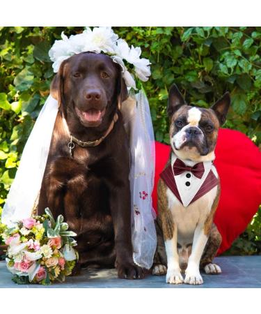 Mioyoow Adjustable Formal Dog Bandana Collar | Tuxedo Wedding Bib for Small & Medium Dogs - Stylish Pink Scarf with D-Ring - Buy Online on GoSupps.com