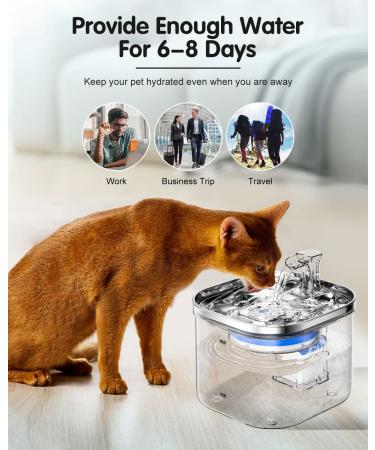 68oz 304 Stainless Steel Cat Water Fountain with 3 Filters | Automatic Pet Dispenser | Quiet Electric Drinking Fountain for Small Dogs and Multiple Pets - Buy Online on GoSupps.com