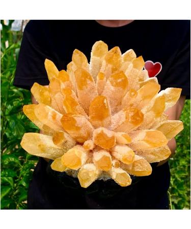 Natural Crystal Rough Crystal Cluster Natural Yellow Phantom Quartz Crystal Cluster Specimen (Size : 700-800g) - Buy Online on GoSupps.com