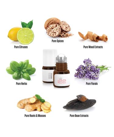 Premium Impressions of Baccarat Rouge 540 Love Don't Be Shy Coco Noir Tobacco Vanille Santal 33 Black Opium Good Girl Lost Cherry & More Perfume Samples by Musk & Hustle Her Nitro Stubbies No. 2 0.05 Fl Oz (Pack of 12) - Buy Online on GoSupps.com