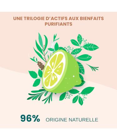 ACTIVILONG - Actidetox Purifying Shampoo - Cleanses and Sanitizes - 96% Natural Ingredients - Made In France - 300ml - Buy Online on GoSupps.com