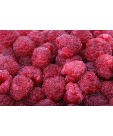 Raspberry Ketones - 180 Capsules dosed at 347 mg | Hunger Control - Limits Weight Gain - Food Supplement Men and Women | Made in France - Buy Online on GoSupps.com