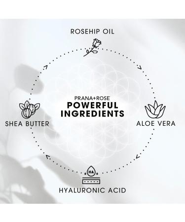 Ultra Moisturizing Organic Vegan Shea Butter Lotion with Hyaluronic Acid & Rosehip Oil - Anti-Aging Body & Hand Lotion (16oz Dulce De Leche - Buy Online on GoSupps.com