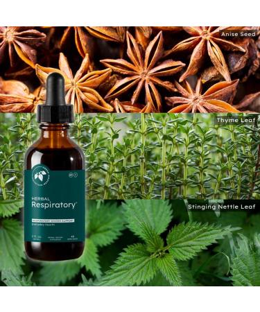 Mountain Meadow Herbs Herbal Respiratory Provides Lung Support to Open Restricted Airways for a Healthy Respiratory System - 2 oz 2 Fl Oz (Pack of 1) - Buy Online on GoSupps.com