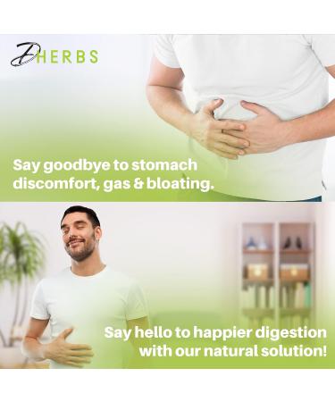 DHerbs Intestinal Cleanser Digestion Supplement 100 Vegetarian Capsules- Digestive System Cleanse Capsules Made with Pure Herbs - Colon Cleanse Supplement for Overall Gut Wellness - Buy Online on GoSupps.com