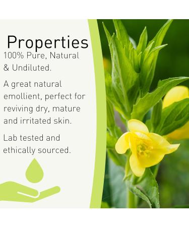 SENSOLI Evening Primrose Oil 100ml - Natural Unscented Moisturising Oil for Hair Face and Body Care - in Brown Glass Bottle - Buy Online on GoSupps.com