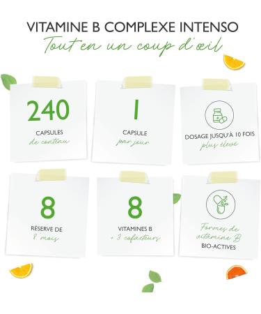 Vitamin B Complex 240 Capsules (8 Months) Up to 10 Times Dosed With Bio-Active Forms + Quatrefolic + Co-Factors Vegan - Buy Online on GoSupps.com