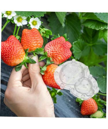 SEWOART 1 Set Shaping Clear Mold Vegetable DIY Molds Melon Stereotypes Plastic Forming Machine - Buy Online on GoSupps.com