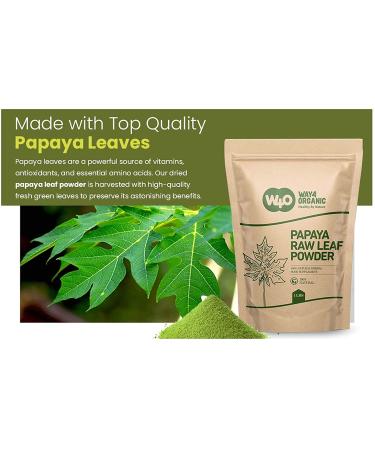 Papaya Leaf Powder 16 oz - 100% Pure Leaves, Ideal for Tea and Juice, Dried from Fresh Green Leaves - Way4Organic - Buy Online on GoSupps.com