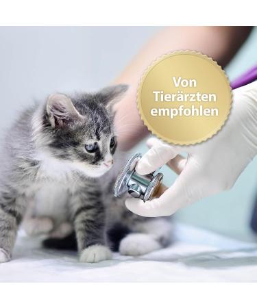 Felisept Home Comfort 45ml Refill - Natural Cat Sedative with Catnip for Calm Relaxation - Pheromone-Free Solution for Anxious Cats - Buy Online on GoSupps.com