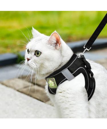 Adjustable Cat Dishes Set - Reflective Soft Lining & Breathable Mesh for Outdoor Training | M Size (Black) - Buy Online on GoSupps.com
