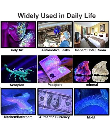 UV Flashlight 100 LEDs UV Light Torch Lamp 395nm Ultraviolet Blacklight with Protective Gogggles for Pet Dog Cat Stains Inspection Currency Bed Bug Detector for Dog/Cat Scorpions Hunting - Buy Online on GoSupps.com