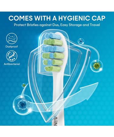 Toothbrush Replacement Heads for 7AM2M AM101/AM105 Electric Toothbrush - 12 Pack Soft Bristles - Buy Online on GoSupps.com