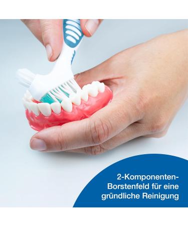 Buy Wellsamed Denture Toothbrush - Pack of 3 Green | Best Denture Brush for Third Teeth - Buy Online on GoSupps.com