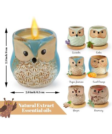 Scented Owl Candles - Perfect Birthday Gifts for Women | 6 Pack Aromatherapy Candles - Unique Owl Gifts for Mother's Day & Thanksgiving - Buy Online on GoSupps.com