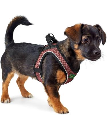 Hunter Dog Harness Hilo Comfort XXS-XS in Pink - Premium Pet Gear for Small Dogs - Buy Online on GoSupps.com