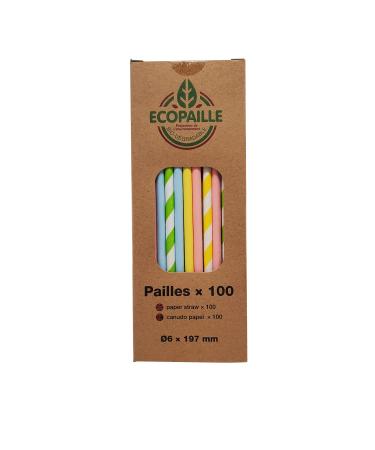 ECOPAILLE Bio-degradable Paper Straws Box of 100 Straws