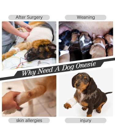 Kuoser Dog Recovery Suit - Medical Body for Dogs After Surgery Anti-Licking Wound Protection Pajamas Alternative (M Gray) - Buy Online on GoSupps.com