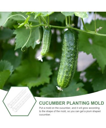 Luxshiny Cucumber Mold Horticulture 3pcs Vegetable Shaping Mold Strawberry Loudspeaker Cucumber Molds Garden Fruit Mold 20x6cm - Buy Online on GoSupps.com