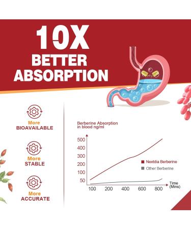 Berberine Supplement Organic 1500mg with Ceylon Cinnamon Bitter Melon Liposomal Berberine HCL Complex Supplements Immune & Digestive Support - Non-GMO Organic Vegan Berberine Capsules 120Cts 120 Count (Pack of 1) - Buy Online on GoSupps.com