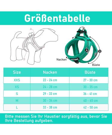 Dog Harness for Small Dogs - Green Padded Puppy Harness | XXS XXS - Comfortable & Adjustable - Buy Online on GoSupps.com