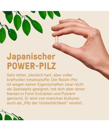 Premium Lion's Mane & Reishi Mushroom Capsules - 360 Count Complex for Enhanced Wellness | International Shipping - Buy Online on GoSupps.com