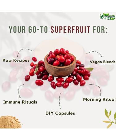 Organic Zing Camu Camu Powder | Vegan & Gluten-Free Superfood | Raw Pure & Natural | Ideal for Smoothies Juices & DIY Blends 227g / 8 Oz - Buy Online on GoSupps.com