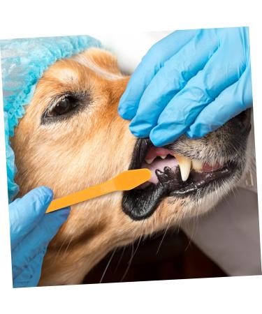BCOATH 10pcs Puppy for Cat Pets Small Supplies Portable Nylon Clean Tooth Pet Dual-head Dog Brush - Buy Online on GoSupps.com
